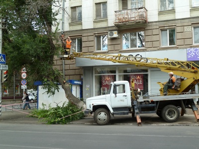 Участок центральной саратовской улицы перекроют для опиловки деревьев