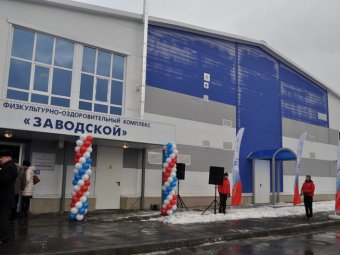 Назначивший Козлачкова директором ФОКа руководитель школы «Кристалл» может лишиться работы вместе с протеже