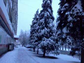 В Саратове ожидается морозная, но ясная погода