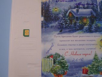 Заключенному пугачевской колонии прислали сим-карты в новогодних открытках