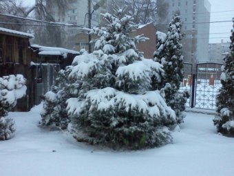В Саратове немного потеплеет и может пойти снег