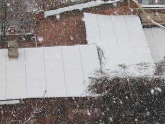 В Саратове вероятен снегопад при комфортной температуре воздуха