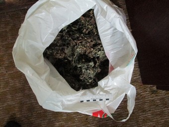 Наркополицейские нашли у жителя Аркадака килограмм марихуаны