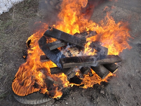 В Балашове сожгли тушу нелегально убитого кабана