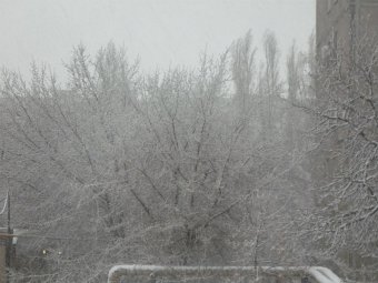 В течение дня в Саратове сохраняется вероятность осадков