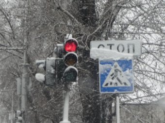 В центре Саратова под колеса иномарки попала переходившая дорогу на «красный» пенсионерка