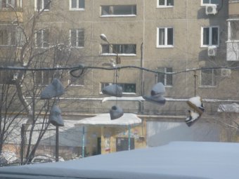В Саратове ожидаются небольшие осадки и похолодание