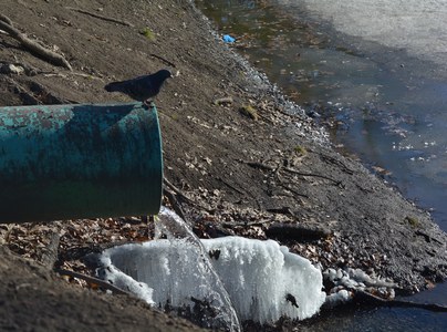 В выходные в Саратове похолодает и выпадут осадки