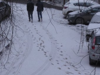 В Саратове и регионе ожидаются осадки с ощутимым ветром