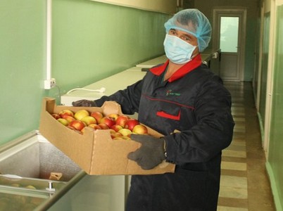 В Саратове сожгли более 80 килограммов подкарантинных яблок и груш