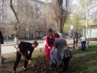 ОПРОС. Кто должен участвовать в субботниках?