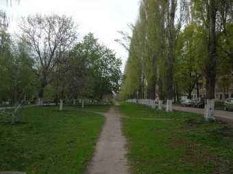 В канун Дня Победы в Саратове ожидается теплая погода без осадков