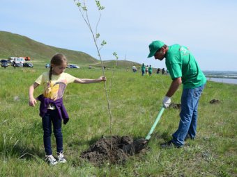В Увеке посадили 130 кустов сирени