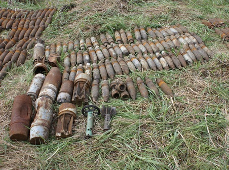 Под Саратовом УФСБ нашло и уничтожило более 700 артиллерийских снарядов. Фото