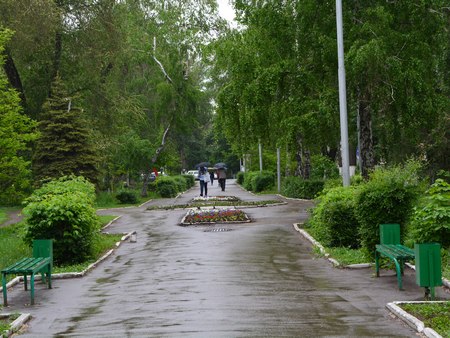 В Саратове и области будет облачно и дождливо