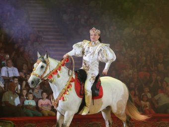 В Саратове стартовало цирковое шоу-подарок к 80-летию области