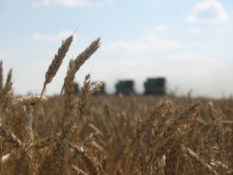 Панков считает, что закон об изъятии сельхозземель давно ждали в регионах