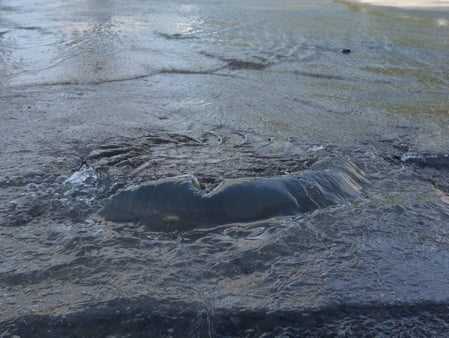 Жители восьми улиц Саратова на весь день остались без воды