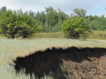 В Саратовском районе обнаружен участок земли с уничтоженным плодородным слоем