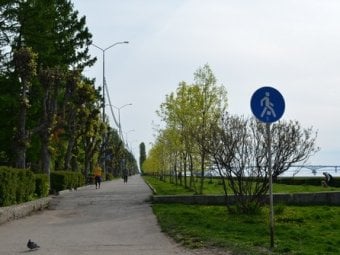 В Саратове начнут обсуждение проекта по созданию протяженной пешеходной зоны