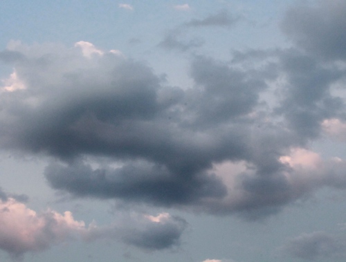 В Саратове синоптики ожидают переменную облачность без осадков 