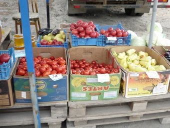 Саратовстат: В регионе все быстрее падают цены на помидоры