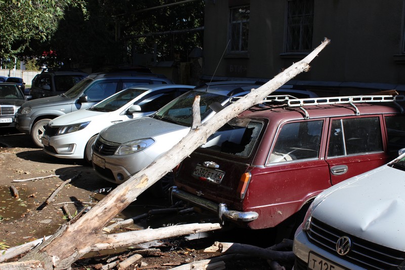 Падение дерева на автомобили в Саратове. Видео