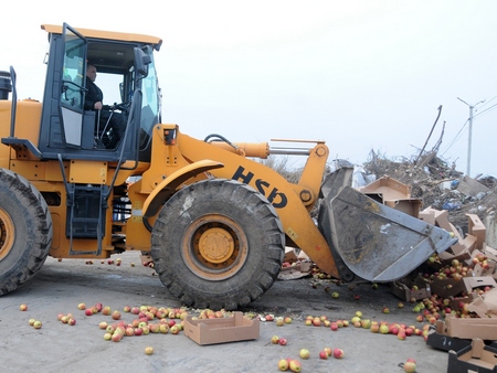 В Саратове уничтожили более 400 килограммов подозрительных яблок