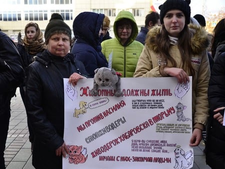 На пикете против зоосадизма сообщили о возможном закрытии саратовского приюта для животных