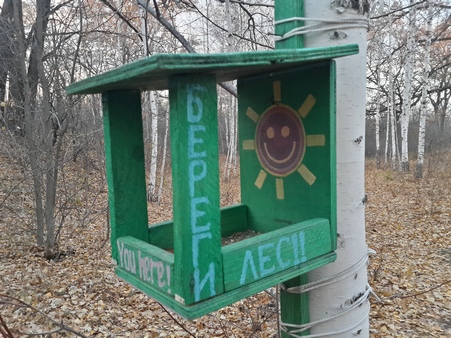 В День народного единства под Саратовом задержали браконьера с тушей косули