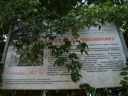 Радаев потребовал сделать из саратовских дендрария и ботанического сада городские парки