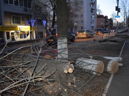 В выходные участок улицы в центре Саратова закроют для опиловки деревьев