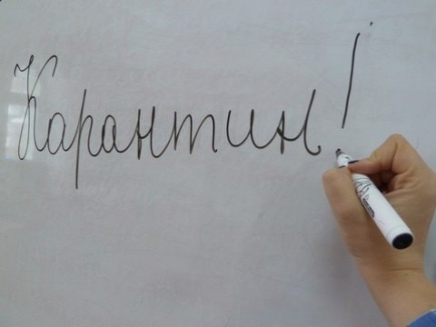 В регионе на карантин все еще закрыты 17 школ