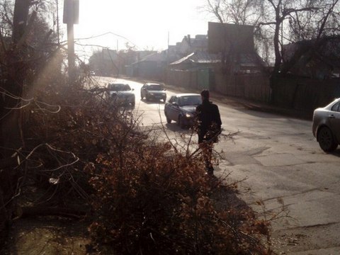 Опиленные деревья коммунальщики свалили прямо посреди улицы Соколовой