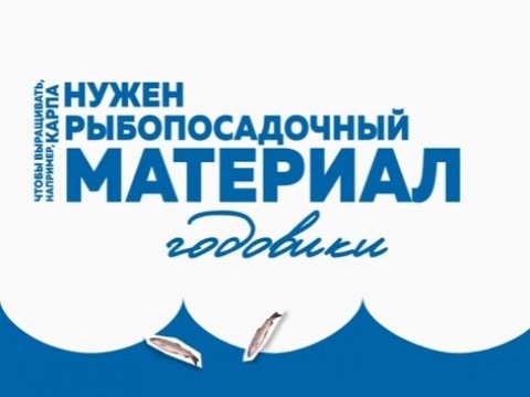 «Открытый канал» подготовил мультфильм о выращивании рыбы в Саратовской области