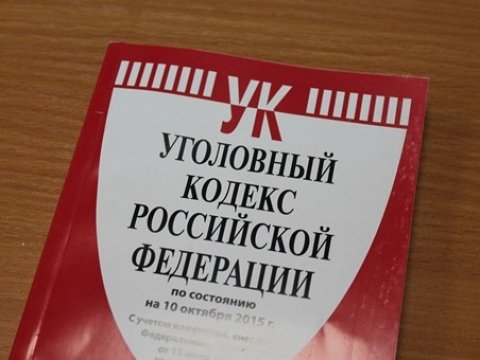 СМИ: Минюст посчитал экстремизмом плакат с Путиным в макияже