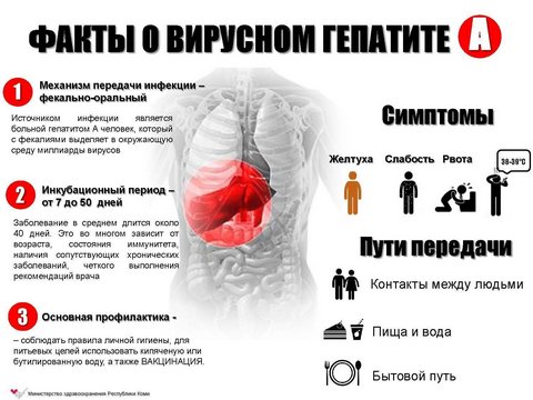 Саратовский Роспотребнадзор начал неотложные действия по борьбе с гепатитом