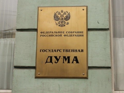 Комитет Госдумы предложил не рассматривать закон о лишении террористов гражданства