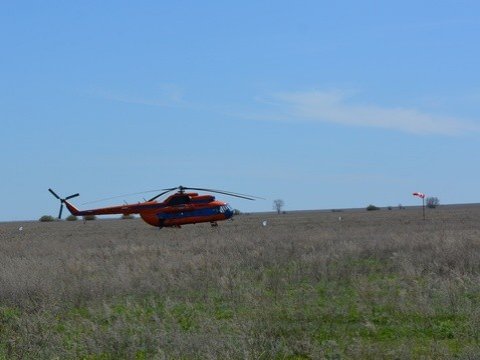 На фестивале тюльпанов Радаев похвастался впечатлениями от полёта на вертолете