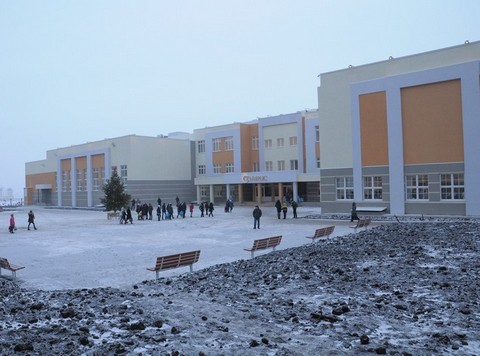 Саратовцы жалуются на прекращение набора в школу «Солярис»