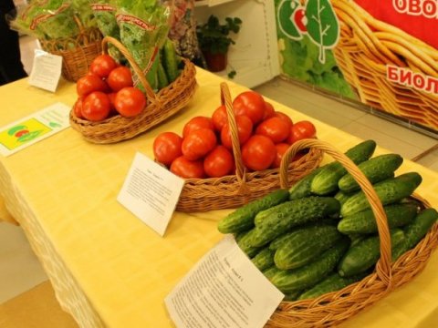 Саратовским фермерам предложили развивать электронные продажи через сетевые магазины