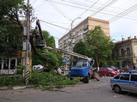 В центре Саратова ясень упал на электрические провода