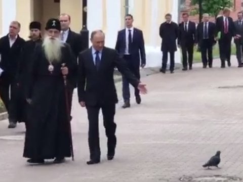 Владимир Путин поприветствовал голубя на встрече с митрополитом-старообрядцем