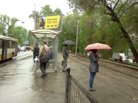 В Саратове снова ожидается дождь