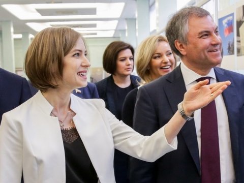 Наталья Поклонская намерена отправить Transparency International «пилить дрова»