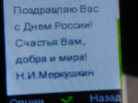 Саратовским абонентам «Мегафона» пришли поздравления с Днем России от самарского губернатора