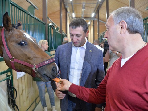 Радаев на соревнованиях по конкуру покормил лошадь морковкой