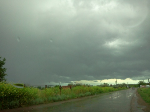 В Саратове ожидается сильный дождь с ветром