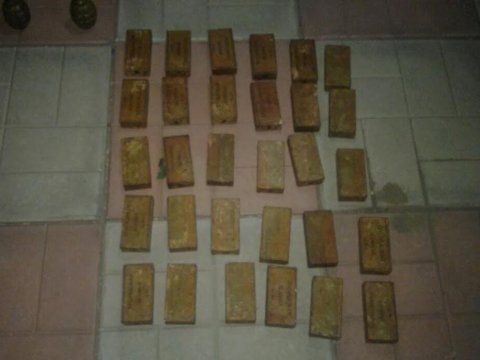 В Саратовской области ФСБ обнаружило у сельчанина 34 тротиловые шашки