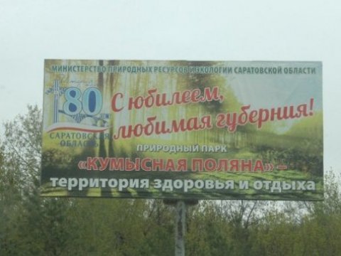 Саратовца подстрелили у детского лагеря «Березка»